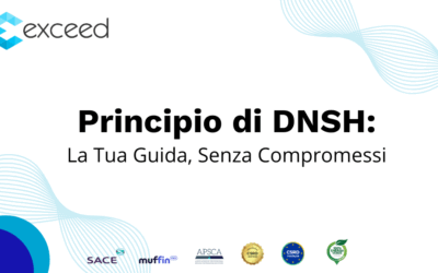Principio DNSH: La Tua Guida, Senza Compromessi