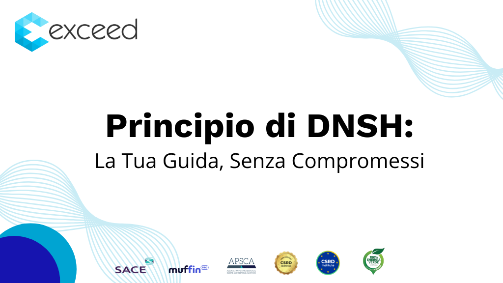 Principio DNSH: La Tua Guida, Senza Compromessi
