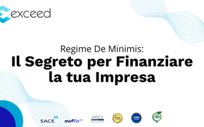 Regime De Minimis: Il Segreto per Finanziare la tua Impresa.